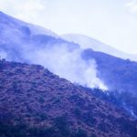 بیش از ۱۰۰ هکتار از جنگل های مارمیشو در آتش سوخت