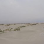 آژیر قرمز گسترش بیابان های نمکی اطراف دریاچه ارومیه