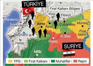 واکنش‌ها و نتایج عملیات نظامی ترکیه در عفرین چه بوده است؟