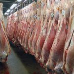 افزایش قیمت گوشت، زندگی مردم را کباب کرد