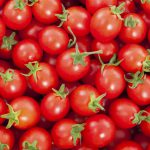 خرید گوجه فرنگی از کشاورزان به قیمت ۷۰۰ تومان منصفانه نیست / حداقل قیمت خرید باید ۱۵۰۰ تومان باشد